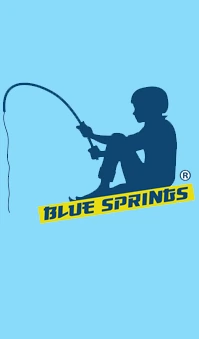 blue springs srl italia